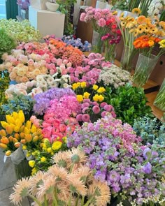 many different types of flowers are on display