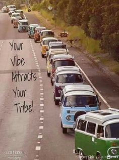 a long line of cars on the side of a road that says, your vibe attracts your tribe