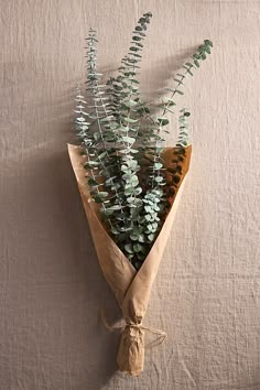 a bouquet of flowers wrapped in brown paper on a beige surface with a string tied around it