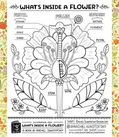 what's inside a flower? coloring page