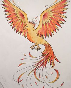 a drawing of a bird with orange and red feathers on it's back legs