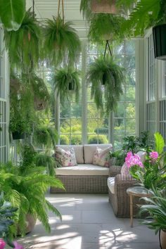 a room filled with lots of green plants