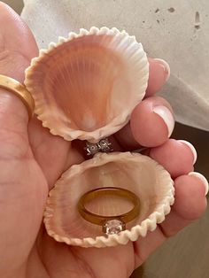 Ocean-inspired Shell-shaped Rings As Gift, Elegant Shell-shaped Ring For Gifts, Ocean-inspired Shell Jewelry For Wedding, Ocean-inspired Shell Wedding Jewelry, Shell-shaped Shell Jewelry For Wedding, Elegant Round Shell As Gift, Elegant Shell Gift, Elegant Round Shell Gift, White Shell For Wedding