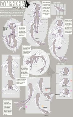 an info sheet showing how to draw a woman's body in the style of a mermaid