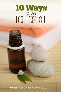 Helpful Essential Oils Tips For family travel #familytravel Tea Tree Oil Uses, Tea Tree Oil Face, Oils For Dandruff, Top Essential Oils, Holistic Health Remedies, Holistic Remedies, Cleaning Recipes, Oil Benefits, Tea Tree Essential Oil