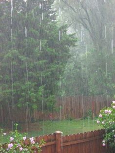 the rain is coming down in the backyard