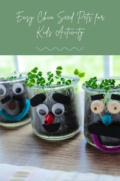 three glass cups with plants in them and the words easy china seed pots for kids activity