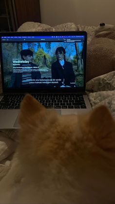 an orange and white cat laying on top of a bed next to a laptop computer