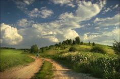 a person walking down a dirt road in the middle of a lush green field under a cloudy sky