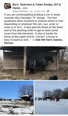 the horses are standing outside in the snow