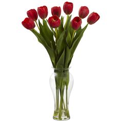 red tulips in a clear vase on a white background with room for text