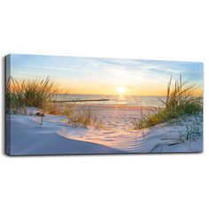 the sun is setting at the beach with grass in the foreground and sand dunes on the other side