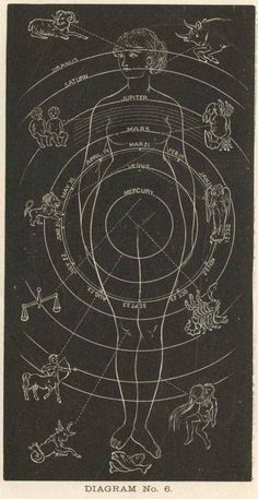 an old diagram shows the positions of animals and their names in different ways, including