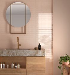 a bathroom with a sink, mirror and plant in the corner on the wall next to it