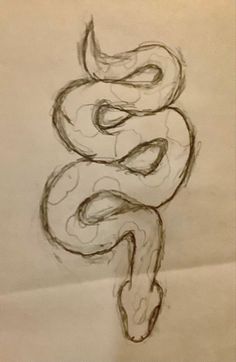 a drawing of a snake on a piece of paper