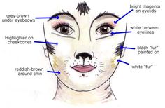 Demeter Makeup, Aristocats Makeup, Eye Sparkle, Cats Costume, Wolf Makeup, Ideas For Cats