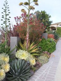 an assortment of plants and flowers in a garden