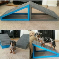 a dog standing on top of a couch next to a step made out of concrete