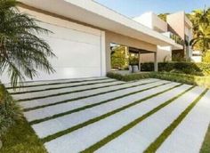 the driveway is lined with grass and palm trees