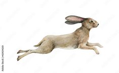 an illustration of a rabbit jumping in the air