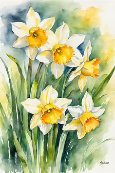 watercolor painting of yellow and white daffodils