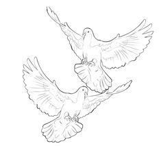 two doves flying in the sky with their wings spread out and one bird has its beak