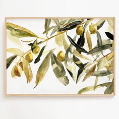 an olive tree branch with green leaves and yellow fruits on it, framed in wooden frame