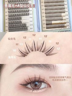 Douyin Lashes, Korean Lashes, Anime Eyelashes, Membentuk Alis, Mekap Mata, Anime Eye Makeup