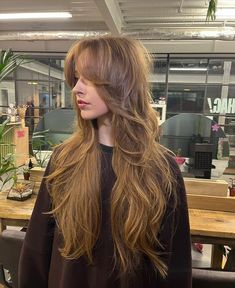 Butterfly Layers, Long Shag Haircut, Shag Haircut, Long Layered Hair, Haircuts For Long Hair