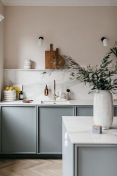 a kitchen with gray cabinets and white counter tops, plants in the corner near the sink