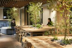 two women sitting at a table with plants on it