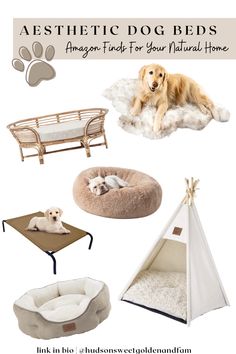 an assortment of dog beds and furniture for your natural home, including a teepee