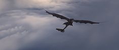 a large bird flying through a cloudy sky