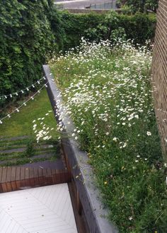 an aerial view of a green roof with white flowers growing on the top and bottom