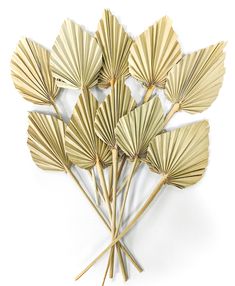 a bunch of gold colored fan shaped sticks sitting on top of a white table next to each other