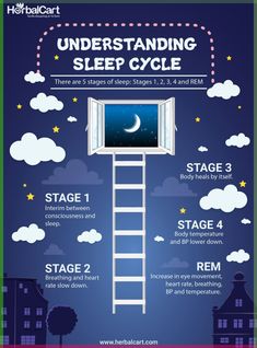 a poster showing the steps to sleep cycle