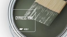 a paint can with a brush in it and the words cypress vine painted on it