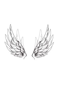 two white wings with one black wing and the other is drawn in pencil on paper