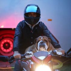 a person on a motorcycle with a dog in the back seat and a helmet on