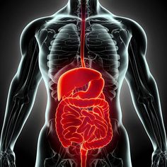 Treat your body right with these simple tips for the best digestive health from WebMD. See how to deal with diarrhea, gas, reflux, and more. Crazy Thoughts, Stomach Gas, Plant Diet, Tea For Digestion, Good Snacks, Natural Hair Mask, Stomach Issues, Health Routine, Digestive Issues