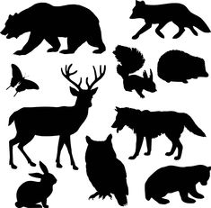 various silhouettes of animals and birds on a white background