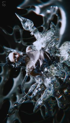 a close up view of an insect's body and head with water droplets on it