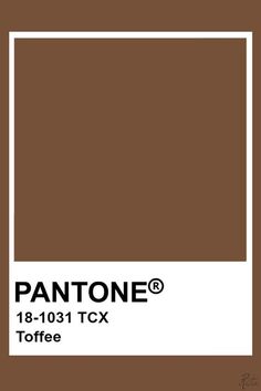 pantone's coffee liqueur is shown in the color brown and white