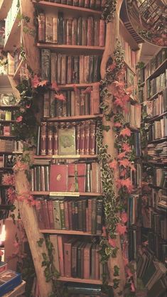 a bookshelf filled with lots of books next to a wall covered in plants