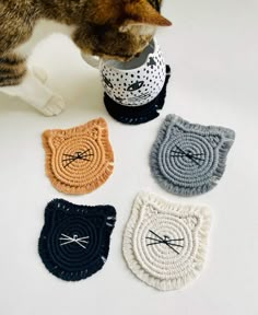 a cat is sniffing some crocheted coasters