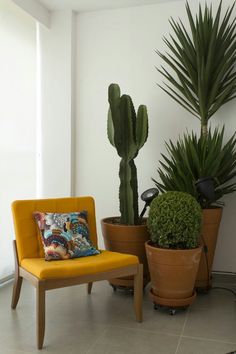 two potted plants and a chair in a room