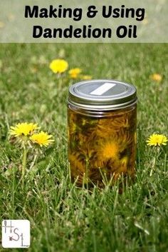 This step by step tutorial of how to make Dandelion oil for arthritis and joint pain relief is a great way to use one of nature's gift to heal ailments. Na Dandelion Oil, Natural Health Remedies, Herbal Oil, Medicinal Herbs, Medicinal Plants, Healing Herbs