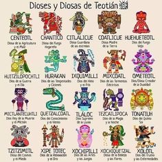 an image of zodiac signs in spanish