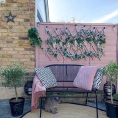 a cat sitting on a bench in front of a wall with plants and potted plants