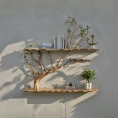 two wooden shelves with plants and books on them